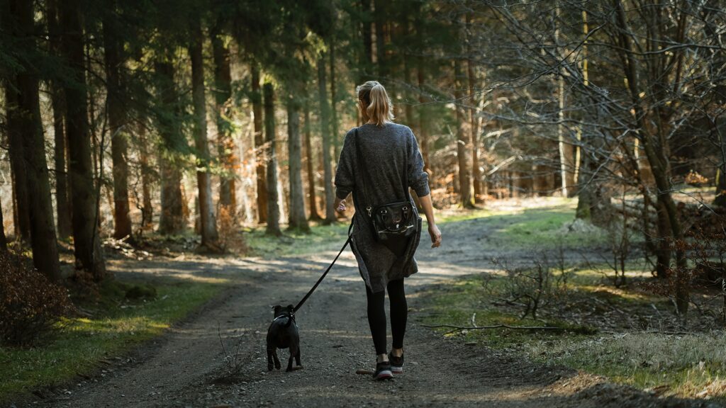 Relax and walk with your dog