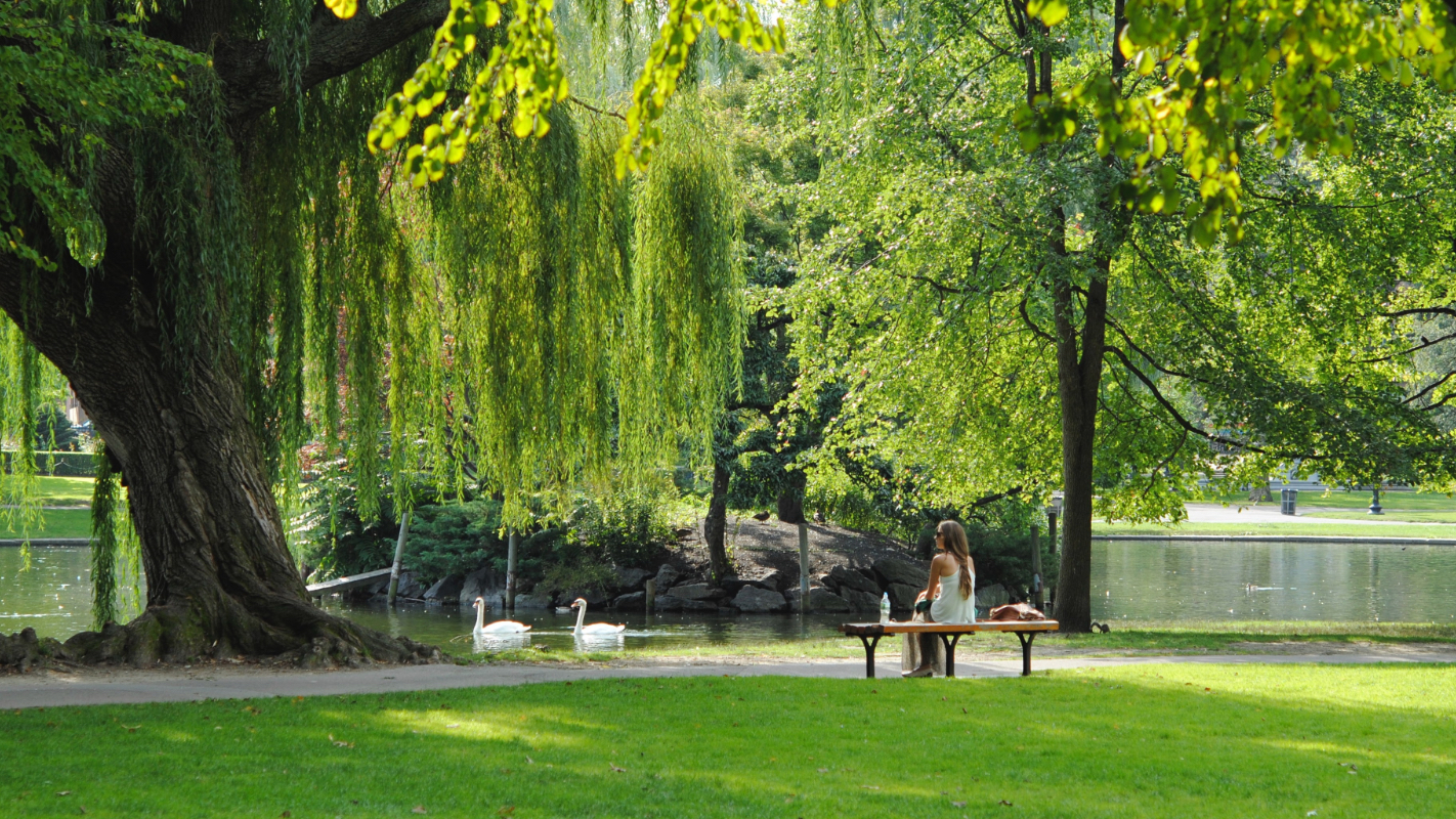 Greenspace and Park